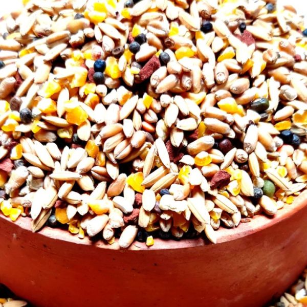 غذای خشک فنچ تاپ فید TopFeed Finch's وزن 1 کیلوگرم