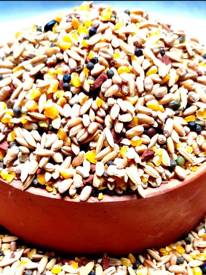 غذای خشک فنچ تاپ فید TopFeed Finch's وزن 1 کیلوگرم