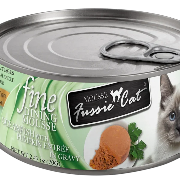 پوچ گربه فنبی Mousse طعم بیف