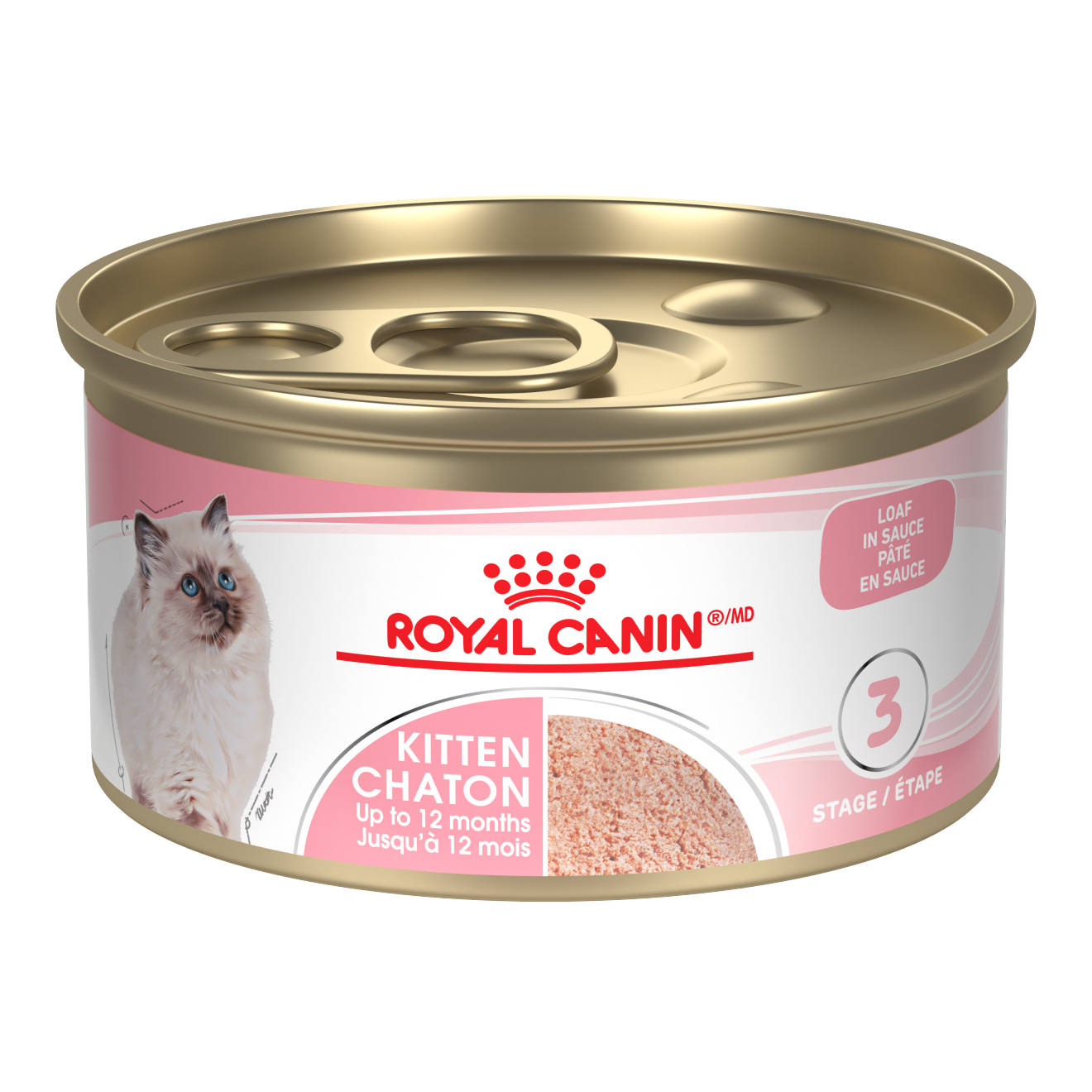 پوچ گربه بریتیش رویال کنین (British shorthair Royal Canin)